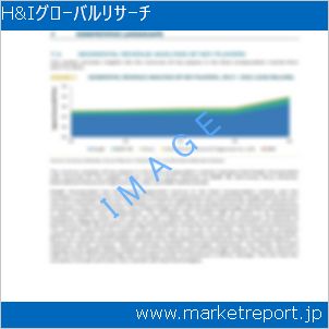 市場と産業調査レポートのイメージ